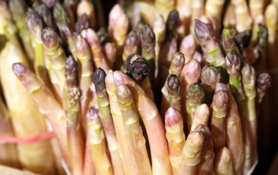 asperges du valais