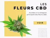 Sélection Naturelle - CBD Suisse en ligne – Cliquez pour agrandir l’image 1 dans une Lightbox