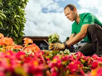 Toni Suter Baumschule-Gartenbau AG - Klicken Sie, um das Bild 3 in einer Lightbox vergrössert darzustellen