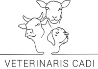 Veterinaris Cadi GmbH-Logo