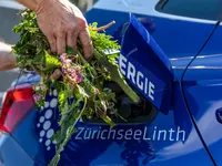 SwissFarmerPower Inwil AG – Cliquez pour agrandir l’image 9 dans une Lightbox