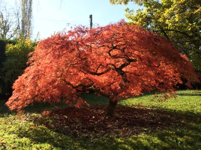 L'Eco des Jardins