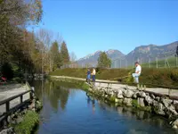 Pigrusa Pisciculture de la Gruyère SA - Klicken Sie, um das Bild 6 in einer Lightbox vergrössert darzustellen