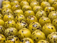 La Chocolaterie de Genève – Cliquez pour agrandir l’image 1 dans une Lightbox