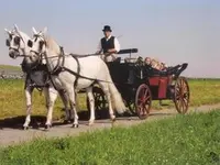 Köchli Heinrich - Klicken Sie, um das Bild 5 in einer Lightbox vergrössert darzustellen