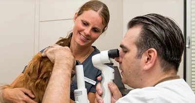 Tierklinik Interlaken AG - 24/7 Notfalldienst