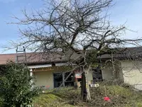 Alain Dutoit Jardinier-Paysagiste Sàrl - Klicken Sie, um das Bild 1 in einer Lightbox vergrössert darzustellen