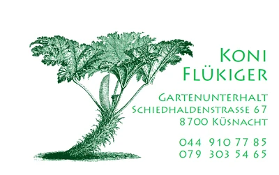 Gartenbau Küsnacht Flükiger Koni