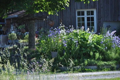 Biogärtnerei Neubauer