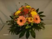 Blumen Jakob – Cliquez pour agrandir l’image 6 dans une Lightbox