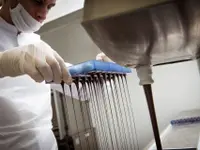 La Chocolaterie de Genève – Cliquez pour agrandir l’image 16 dans une Lightbox