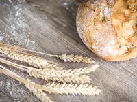 Bäckerei Konditorei Sterchi Länggasse-Brückfeld - cliccare per ingrandire l’immagine 2 in una lightbox