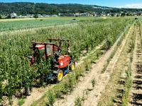 Toni Suter Baumschule-Gartenbau AG - Klicken Sie, um das Bild 9 in einer Lightbox vergrössert darzustellen