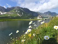 Elektrizitätswerk Obwalden – Cliquez pour agrandir l’image 3 dans une Lightbox