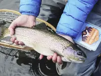 Pigrusa Pisciculture de la Gruyère SA - Klicken Sie, um das Bild 7 in einer Lightbox vergrössert darzustellen