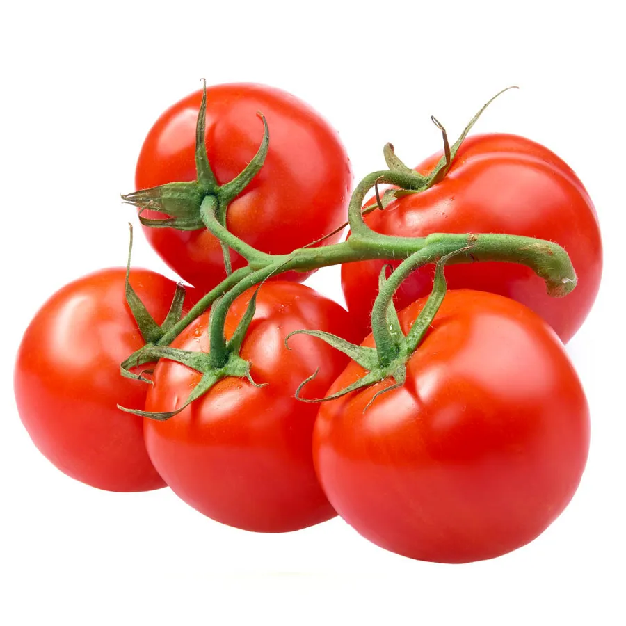 Agrotomato SA