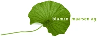 Logo Blumen Maarsen AG