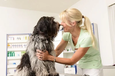 Kleintierklinik am See Rorschach Sprechstunde