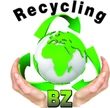 BZ Recycling+Entsorgung