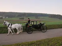 Köchli Heinrich - Klicken Sie, um das Bild 2 in einer Lightbox vergrössert darzustellen