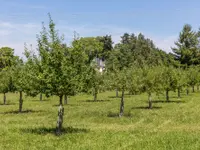 Nicolas Varidel Nature+Jardins - Klicken Sie, um das Bild 9 in einer Lightbox vergrössert darzustellen