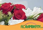 Logo Florambiente SA