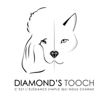 DIAMOND'S TOOCH logo