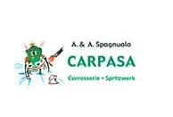 Carpasa GmbH