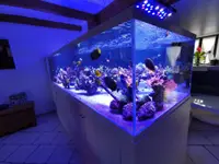 Aquarium-Bassin SARL – Cliquez pour agrandir l’image 6 dans une Lightbox