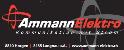 Ammann Elektro AG