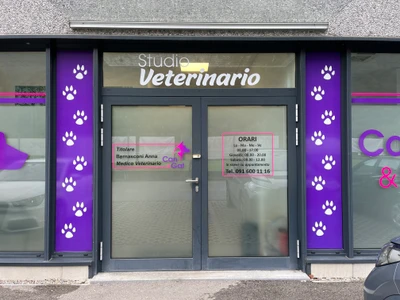 Entrata Studio Veterinario Can e Gat