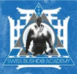 Swiss Bushido Academy