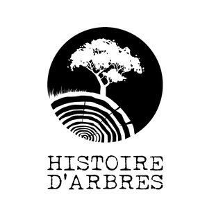 Histoire d'arbres