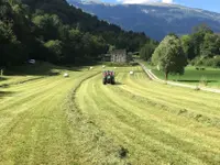 AZIENDA AGRICOLA ARCIONI LUIGI - cliccare per ingrandire l’immagine 5 in una lightbox