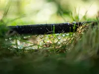 Sarrieu Paysagiste - Création & Entretien d'espaces verts – Cliquez pour agrandir l’image 26 dans une Lightbox