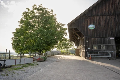 Landwirtschaft