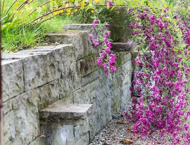 Martin Schefer AG Roggwil - Gartenbau Gartenpflege