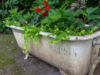 Fürst Jardins Riviera SA - Klicken Sie, um das Bild 30 in einer Lightbox vergrössert darzustellen