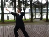 Tai Chi Chuan – Cliquez pour agrandir l’image 2 dans une Lightbox