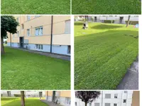 HRG Hauswartung - Reinigung - Gartenunterhalt – Cliquez pour agrandir l’image 8 dans une Lightbox