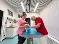 Centro Veterinario Daniele Varini – Cliquez pour agrandir l’image 2 dans une Lightbox