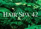 Hairspa 42