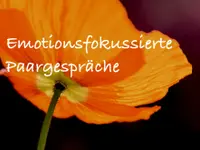 Systemische-Therapie.ch – Cliquez pour agrandir l’image 4 dans une Lightbox