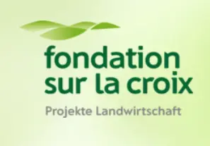 Fondation Sur-la-Croix