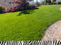 Zebra AG Garten & Pool - cliccare per ingrandire l’immagine 3 in una lightbox