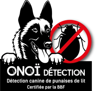 Onoï Détection