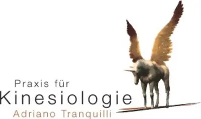 Praxis für Kinesiologie Adriano Tranquilli