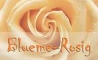 Blueme - Rosig GmbH