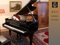 Scheu Piano-Service GmbH - cliccare per ingrandire l’immagine 6 in una lightbox