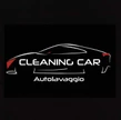 CLEANING CAR DI MILENA SAVIC